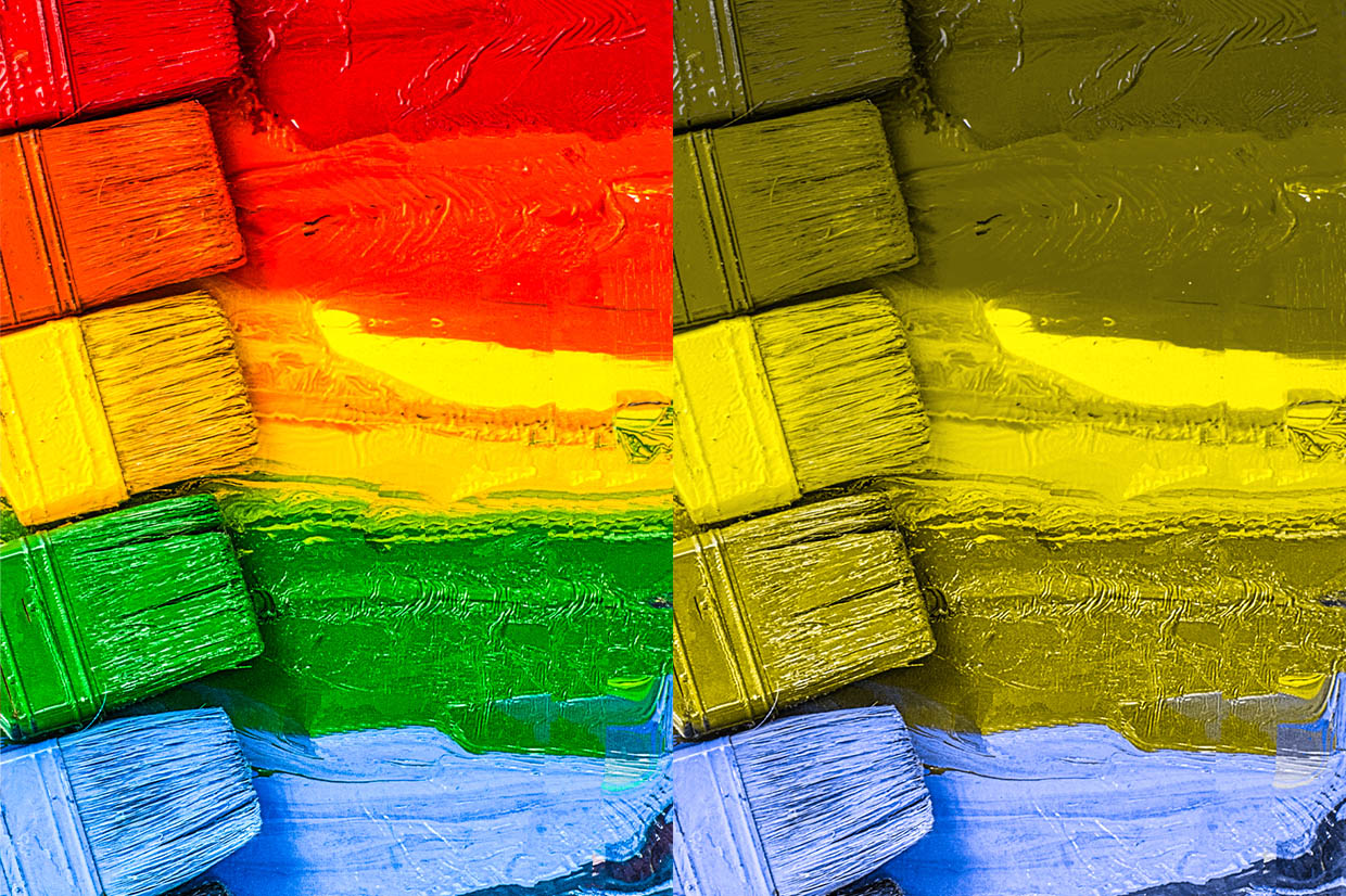 A split screen view of five horizontal paint brushes, each daubing a vibrant stripe of colour from right to left. The top stripe is red followed by orange, yellow, green and blue. Each paint brush is the same colour as its thick stripe of lumpy paint. A rainbow effect is created from the use of multiple bold colours stacked top to bottom. The same image on the right is colour corrected to display how a person with Protanopia type colour blindness may view it to give a clear comparison of how indistinguishable particular colours can be and therefore how a rainbow of colour might be viewed. The red, orange and green stripes become virtually identical in colour with the yellow appearing the same colour but a lighter shade and the blue stripe as the only distinguishable colour.