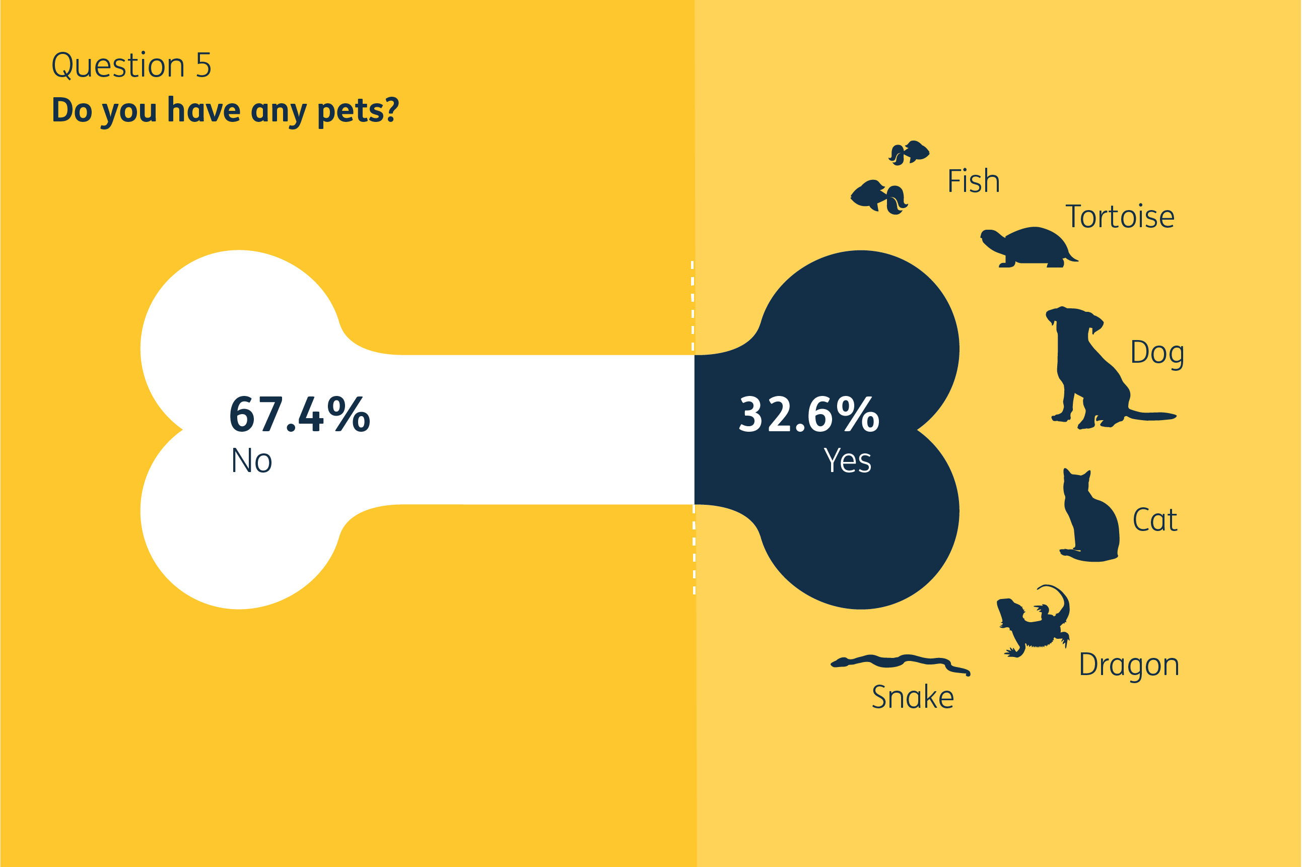 A filled shape chart in the shape of a dog bone, showing the proportion of Design102 staff who have pets. There are small illustrations of a fish, tortoise, dog, cat, dragon and snake. No pets: 67.4%. Pets: 32.6%.