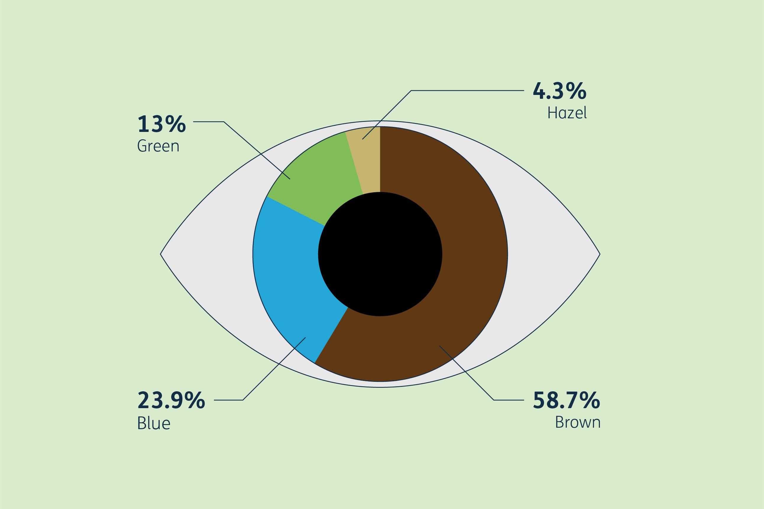 A donut pie chart in the shape of an eye, showing answers to Design102’s survey question: what colour are your eyes? The chart is divided into four eye colours. Brown: 58.7%. Blue: 23.9%. Green: 13%. Hazel: 4.3%.